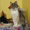 Отзыв от Инга Горбачева